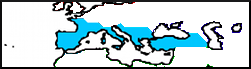 11a.png