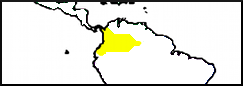 19b.png
