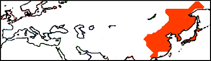 22.png
