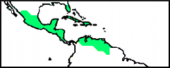 14a.png