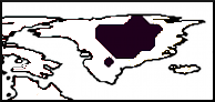 2a.png