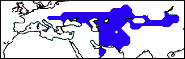 6a.png