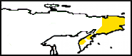 x.png