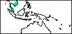 13.png