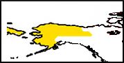 20a.png