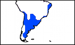 9a.png
