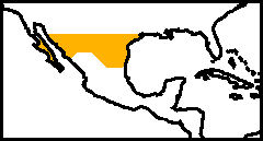 11c.png